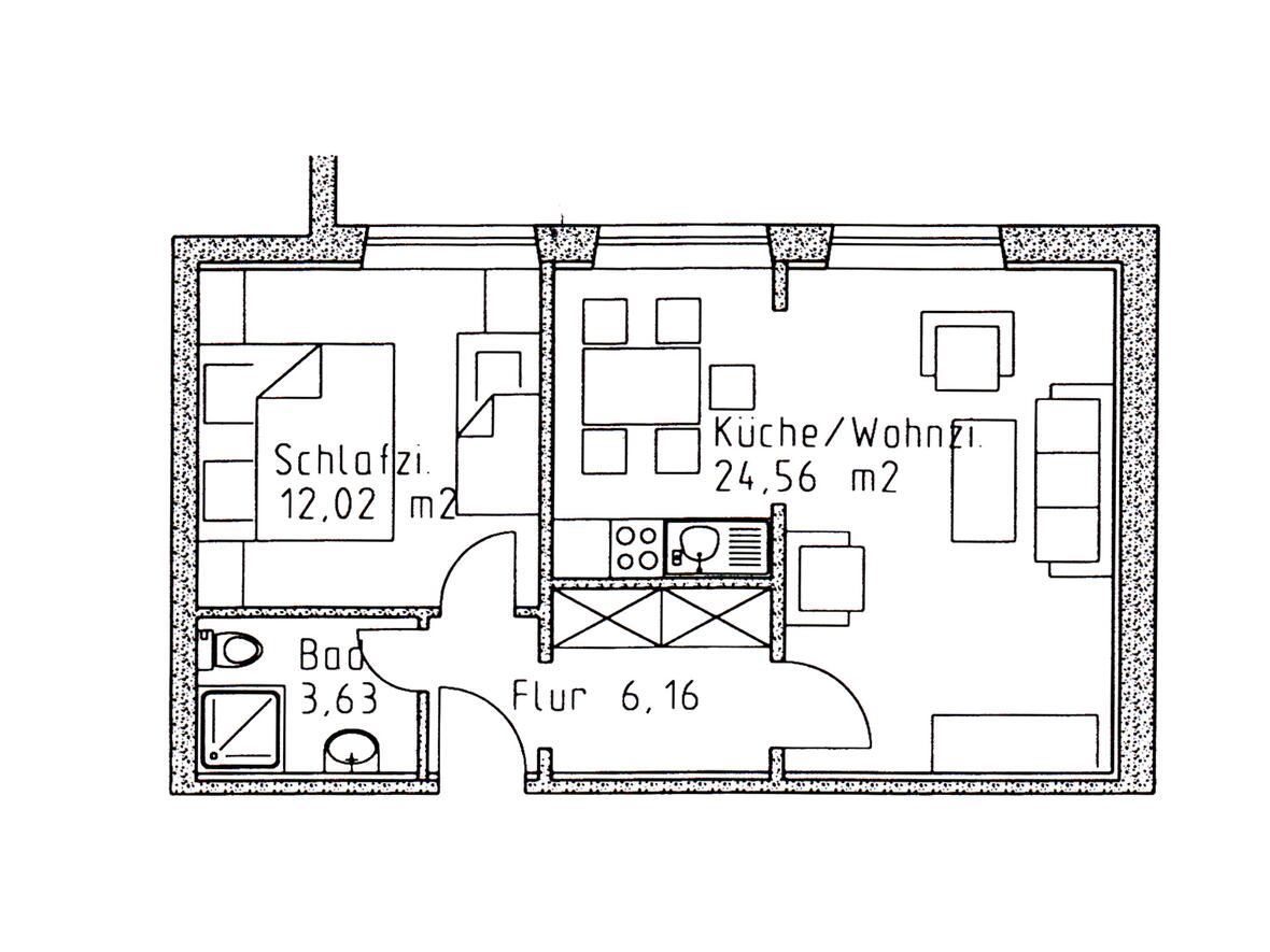 Grundriss: Küche/Wohnzimmer 24,56 m², Schlafzimmer 12,02 m², Flur 6,16 m², Duschbad 3,63 m² – rund 46 m² Wohnfläche.