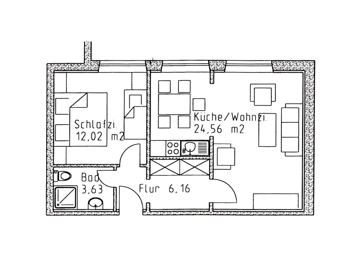 Grundriss: Küche/Wohnzimmer 24,56 m², Schlafzimmer 12,02 m², Flur 6,16 m², Duschbad 3,63 m² – rund 46 m² Wohnfläche.